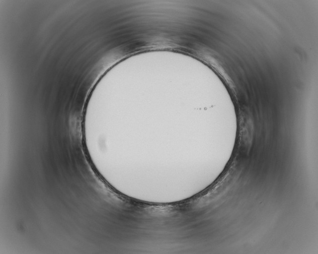 X0000112050810200908181135