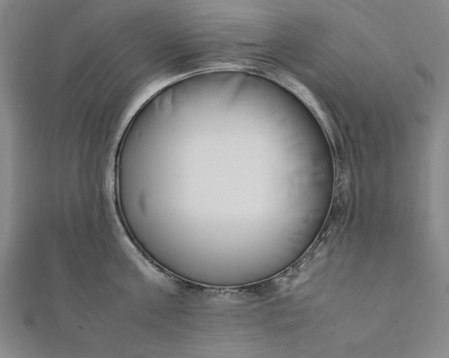 X0000112050811200908181135