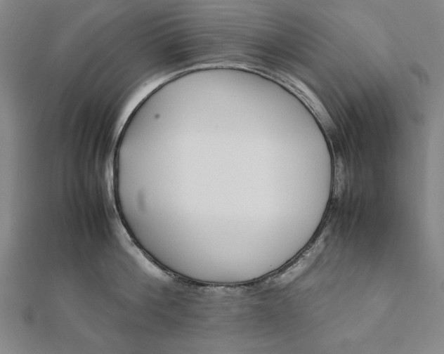 X0000112050812200908181135