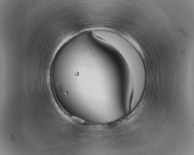 X0000112050813200908181135