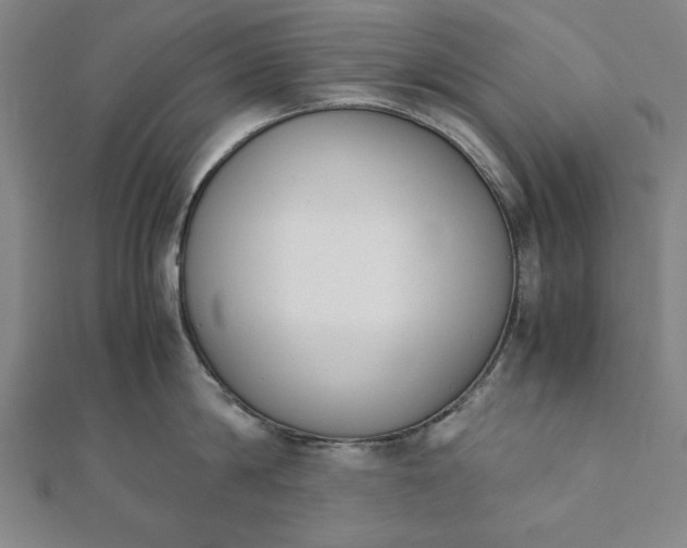 X0000112050814200908181135