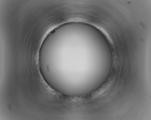 X0000112050815200908181135