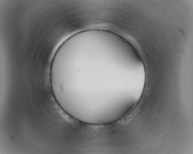 X0000112050816200908181135