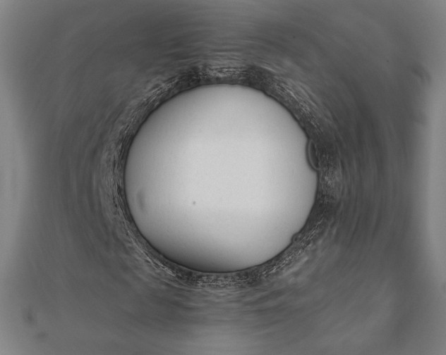 X0000112050817200908181134