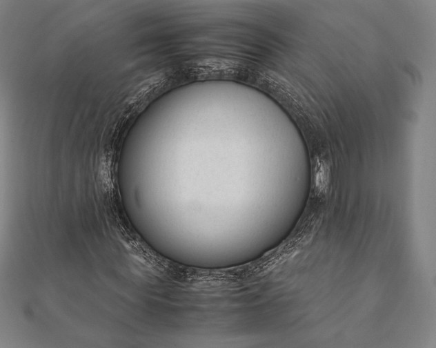 X0000112050819200908181134