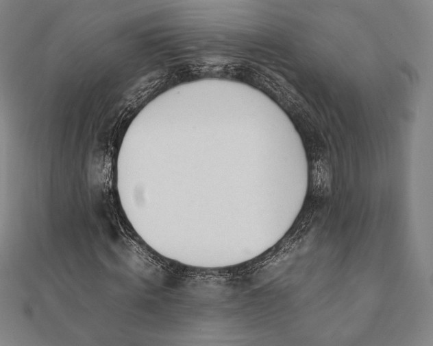 X0000112050820200908181134