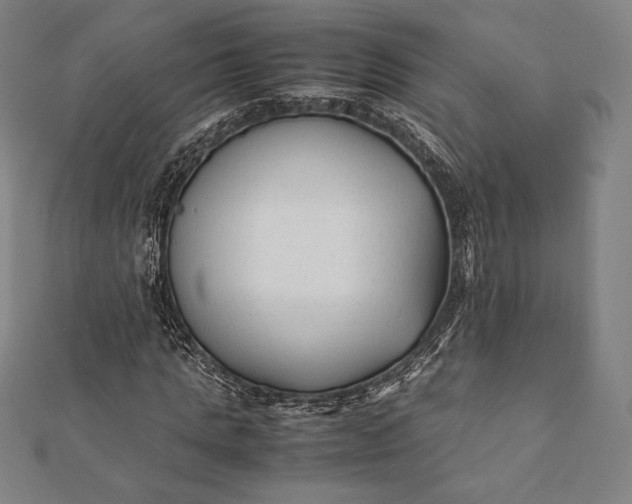 X0000112050821200908181134