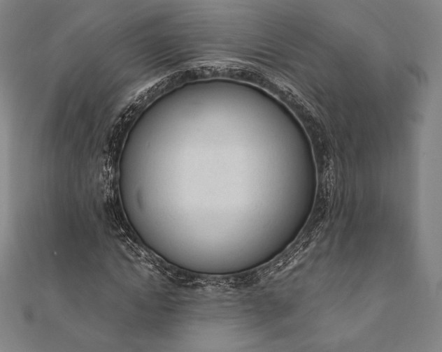 X0000112050822200908181134