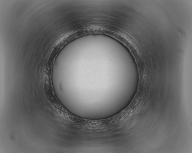 X0000112050823200908181134