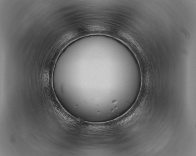 X0000112050825200908181134