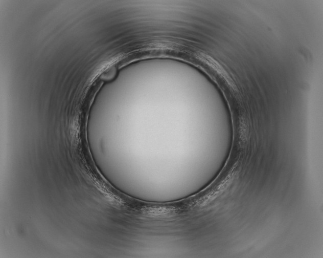 X0000112050826200908181134