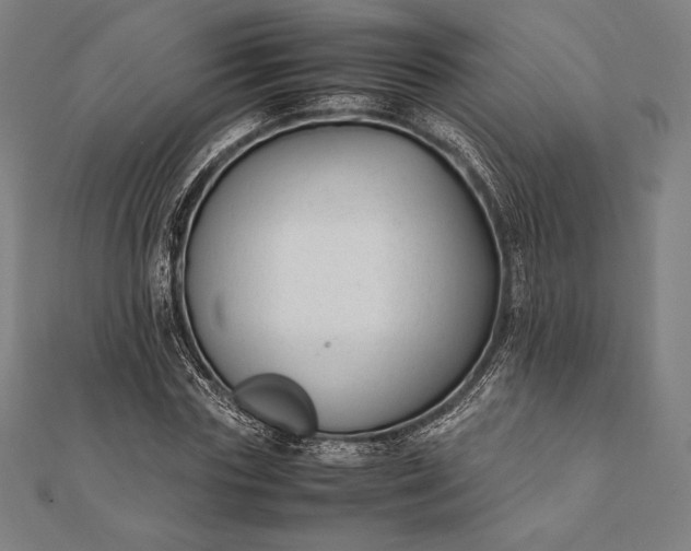 X0000112050827200908181134