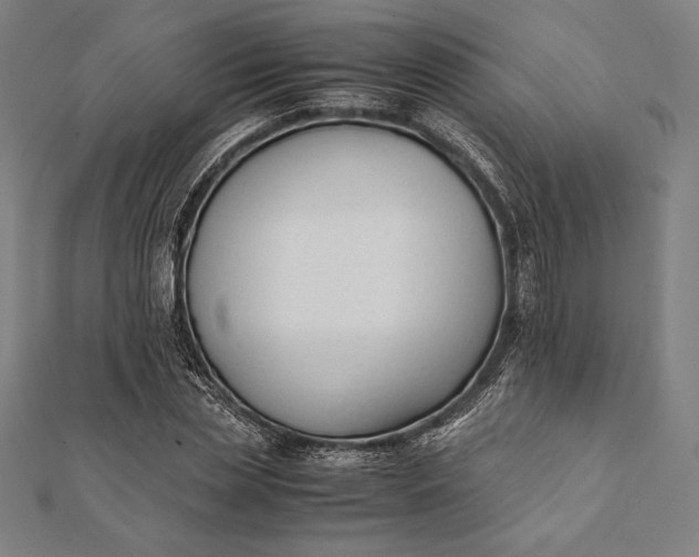 X0000112050829200908181135