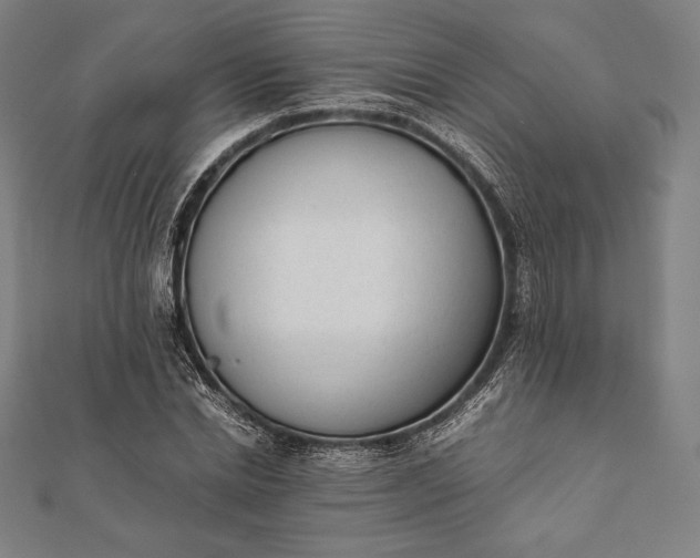 X0000112050830200908181135