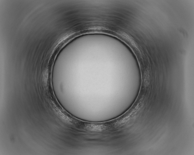 X0000112050831200908181135