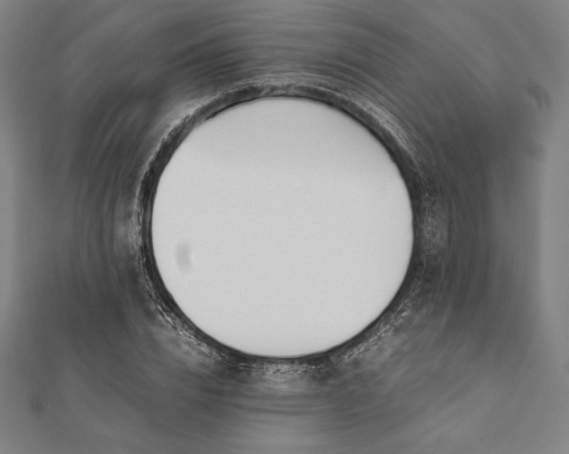 X0000112050832200908181135