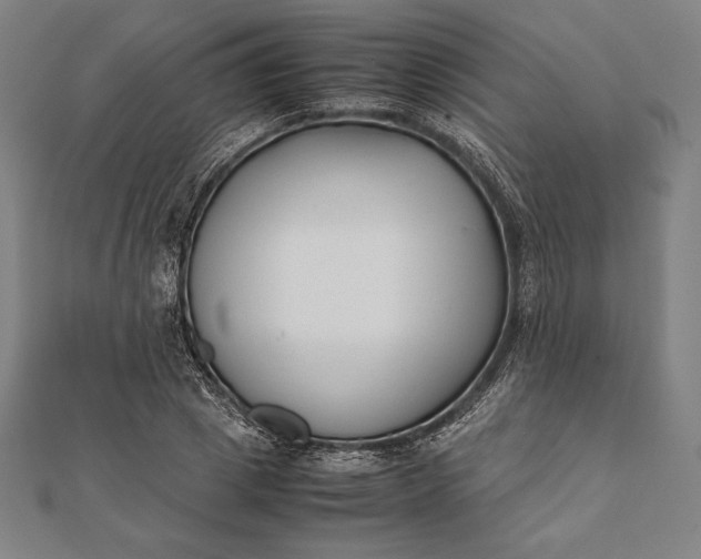 X0000112050833200908181135