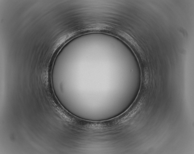 X0000112050834200908181135