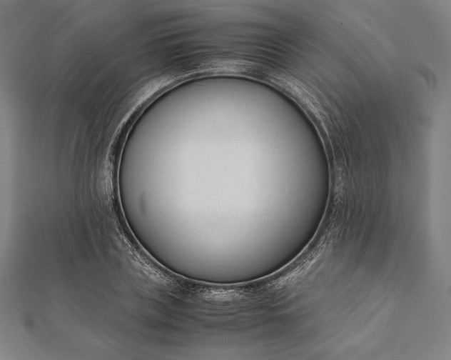 X0000112050835200908181135