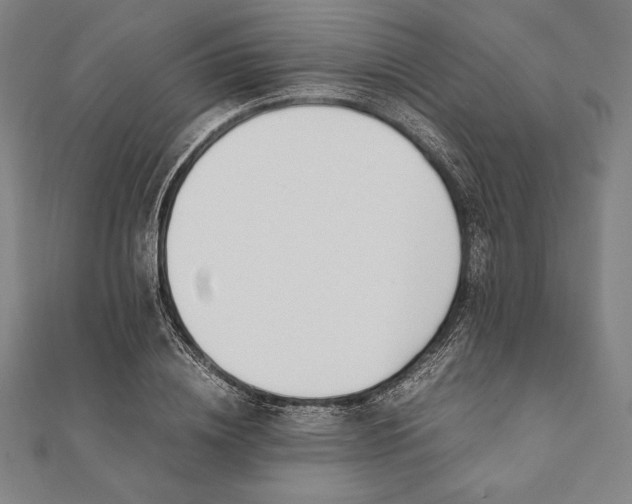 X0000112050836200908181135