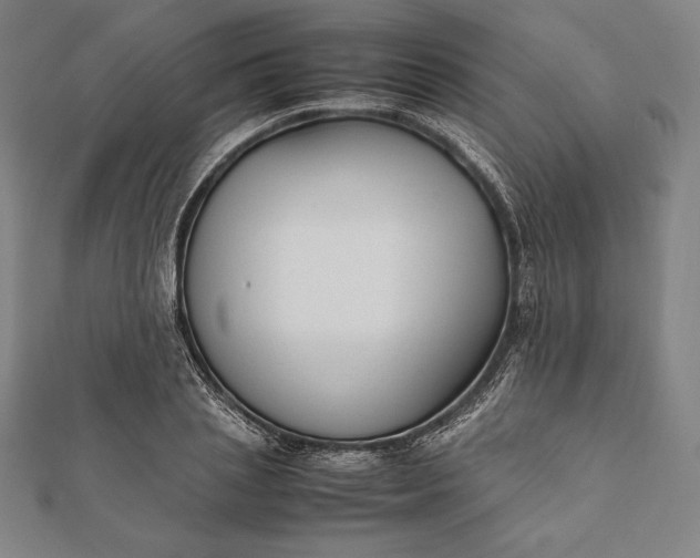 X0000112050837200908181135