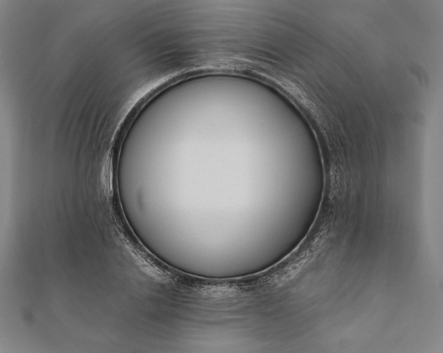 X0000112050838200908181135