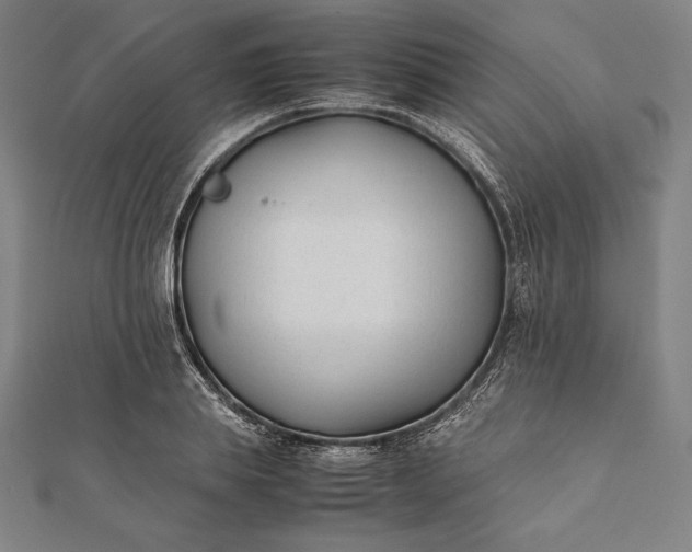 X0000112050839200908181135