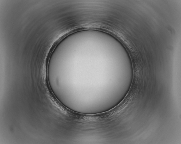 X0000112050840200908181135