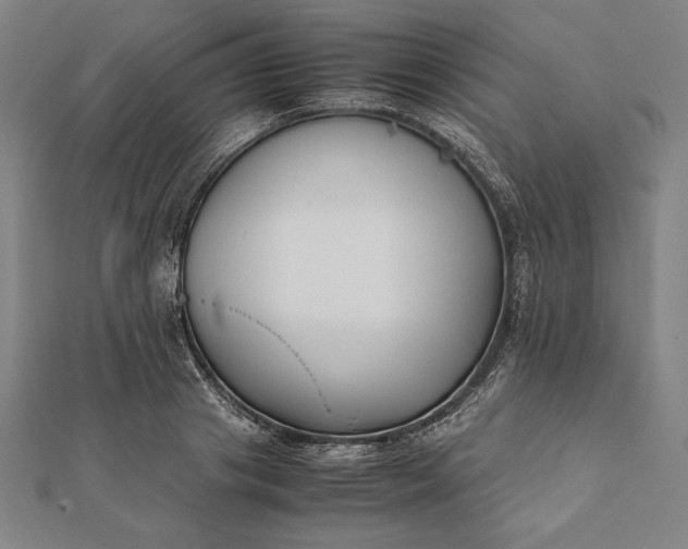 X0000112050841200908181135