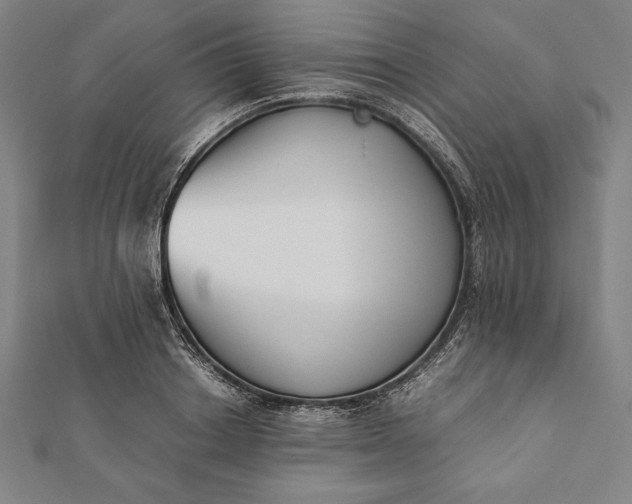 X0000112050842200908181135