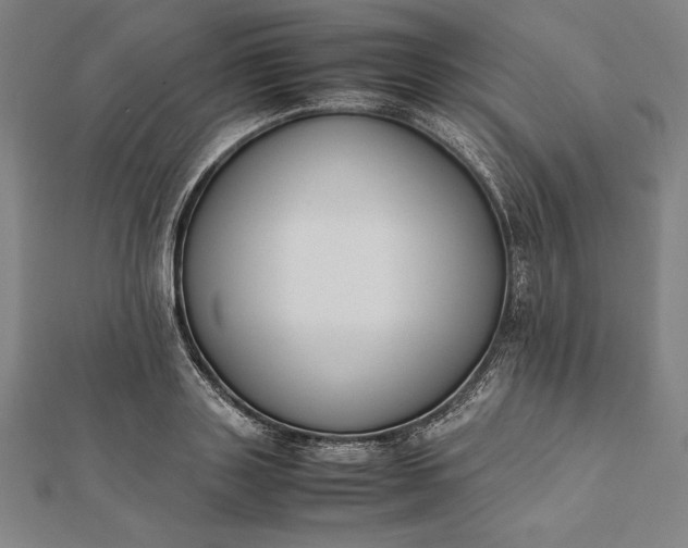 X0000112050843200908181135