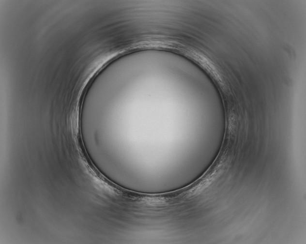 X0000112050844200908181135