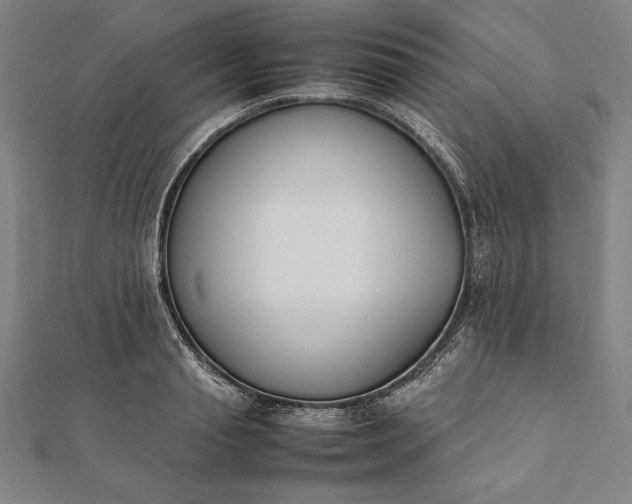 X0000112050845200908181135