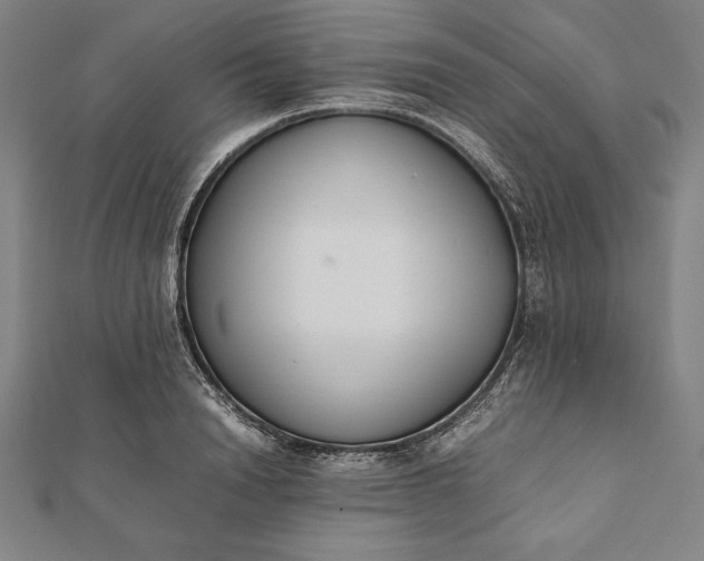 X0000112050846200908181135