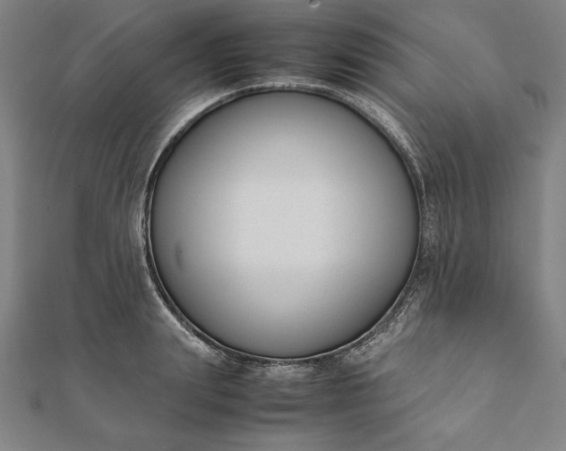 X0000112050847200908181135