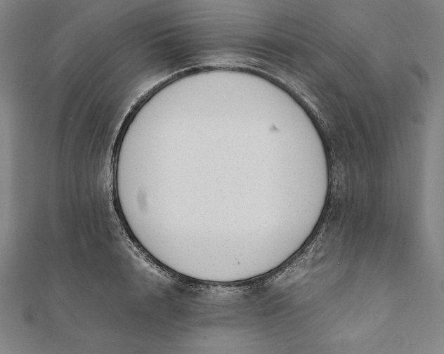 X0000112050848200908181135