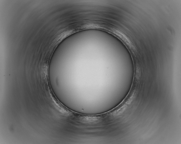 X0000112050849200908181135