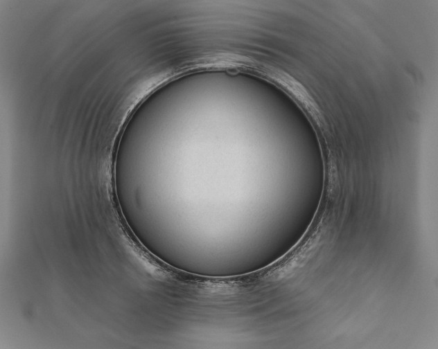 X0000112050850200908181135