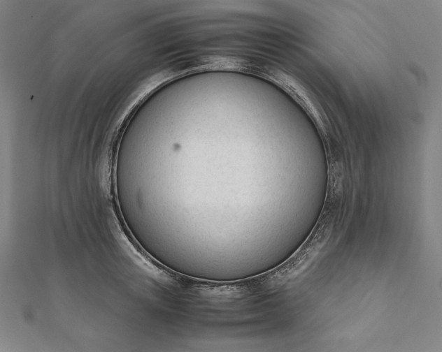 X0000112050851200908181135