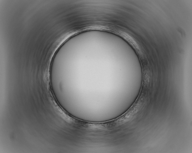 X0000112050852200908181135