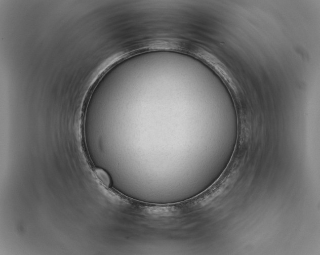 X0000112050853200908181135