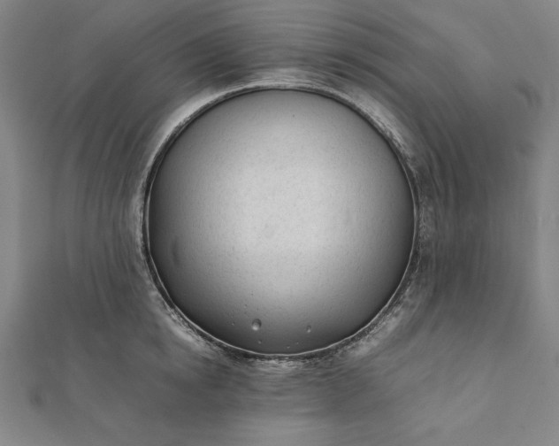 X0000112050854200908181135