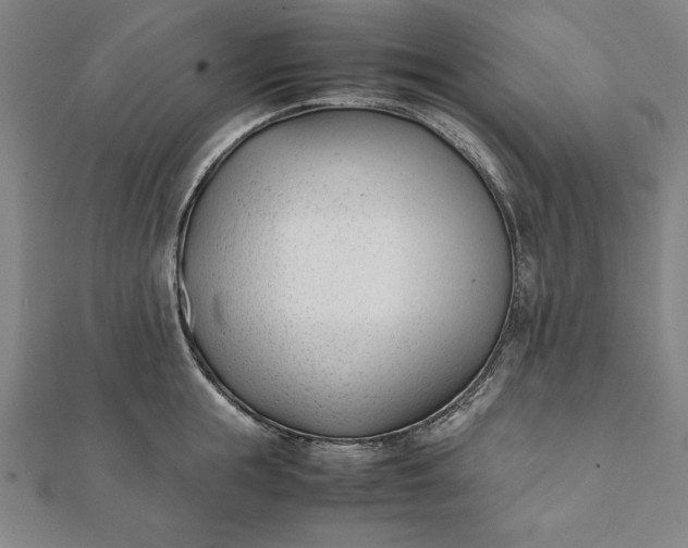 X0000112050855200908181135