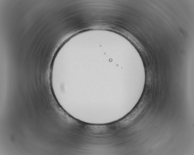 X0000112050856200908181135