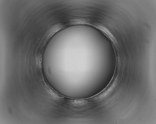 X0000112050857200908181135