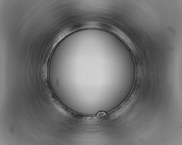 X0000112050858200908181135