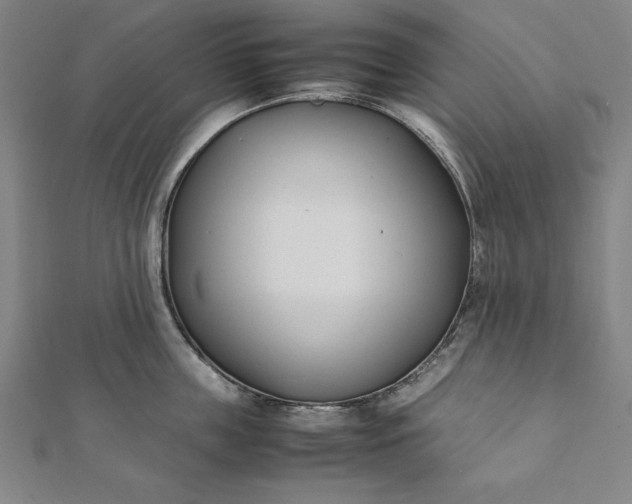 X0000112050859200908181135