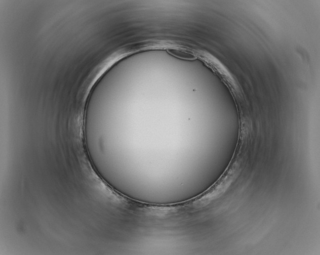 X0000112050860200908181135