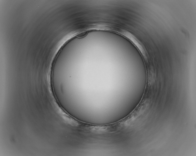 X0000112050861200908181135