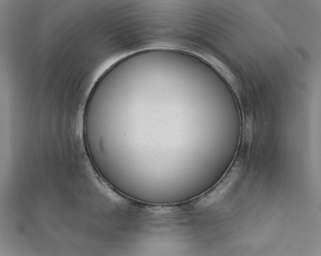 X0000112050862200908181135